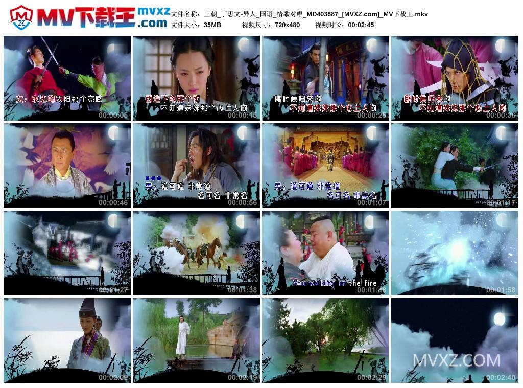 王朝_丁思文-异人_国语_情歌对唱_MD403887